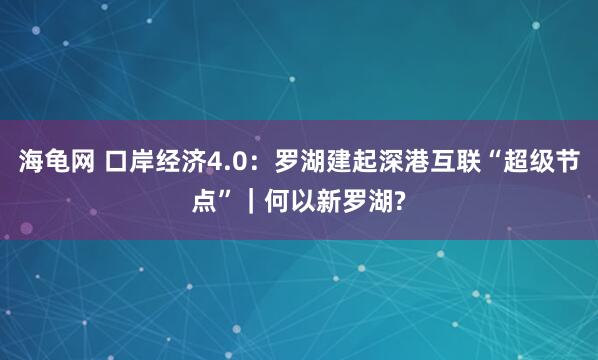 海龟网 口岸经济4.0：罗湖建起深港互联“超级节点”｜何以新罗湖?