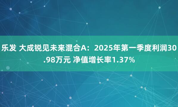 乐发 大成锐见未来混合A：2025年第一季度利润30.98万元 净值增长率1.37%