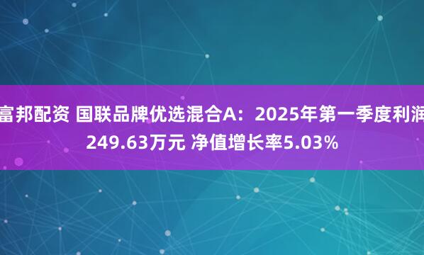 富邦配资 国联品牌优选混合A：2025年第一季度利润249.63万元 净值增长率5.03%